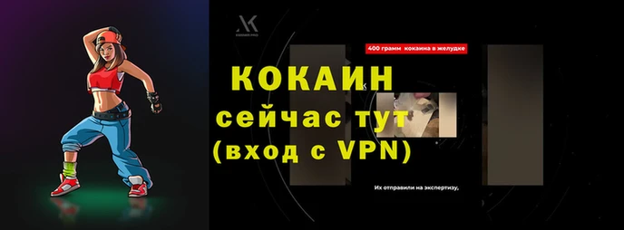 стафф Каменногорск