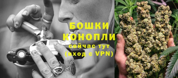 стафф Каменногорск