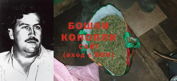 стафф Каменногорск